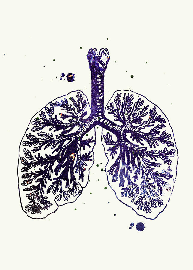 Anatomical Lungs Art Print Anatomy Art Alveolar Respiratory System ...