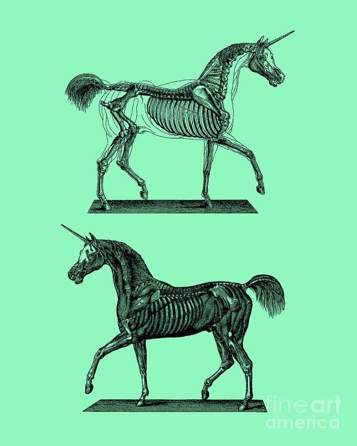 Unicorn Digital Art - Anatomical Unicorn Decor by Madame Memento