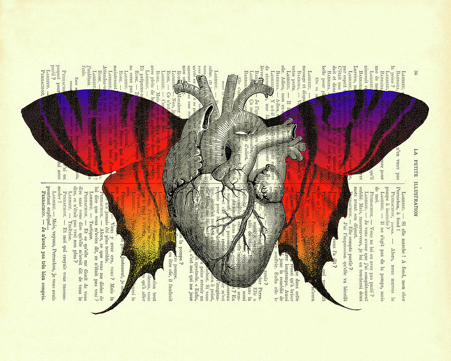Butterfly Digital Art - Anatomy Butterfly Heart by Madame Memento