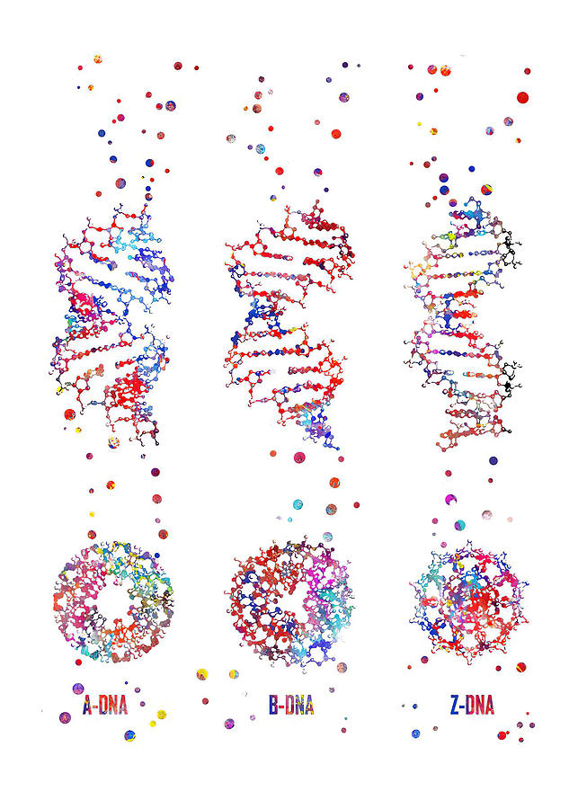 Anatomy Medical Science ABZ DNA Digital Art by Morein Mahoney | Fine ...