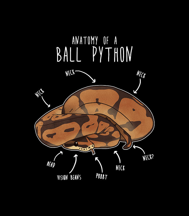 Anatomy of a Ball Python Digital Art by Anatomy of a Ball Python | Pixels
