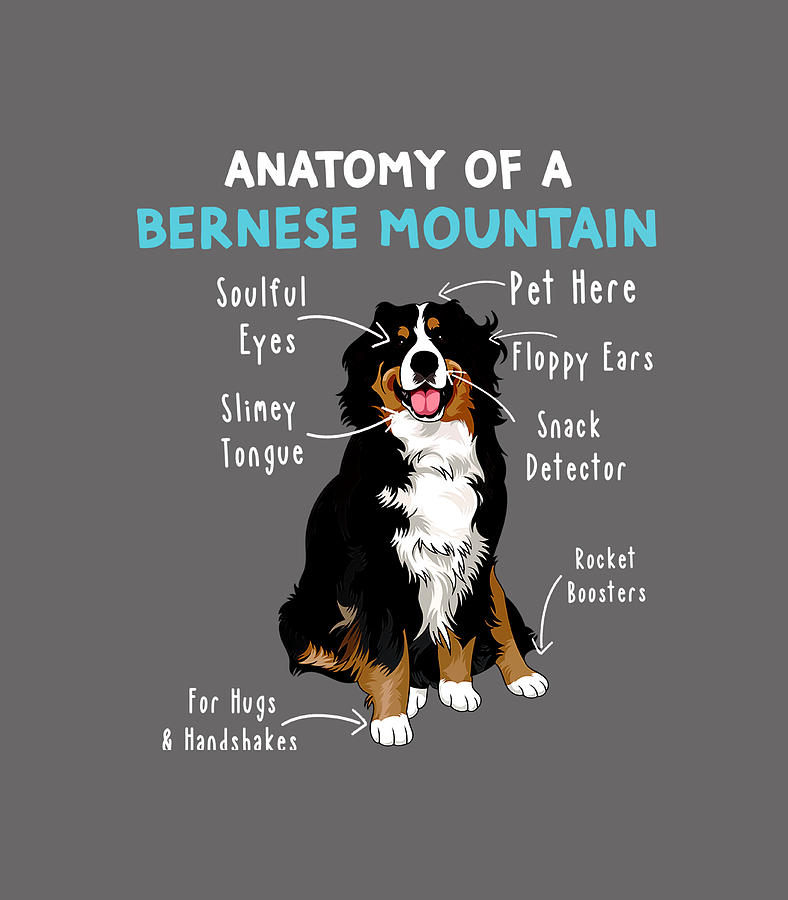 Anatomy of a Bernese Mountain Dog Mom Funny Bernese Mountain Digital ...