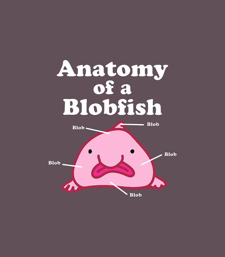 Anatomy Of A Blobfish Funny Meme Clothing Gifts Kids Digital Art