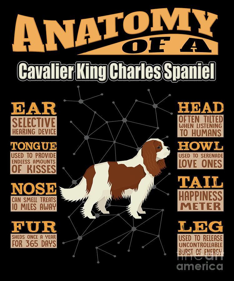 do king charles spaniel howl