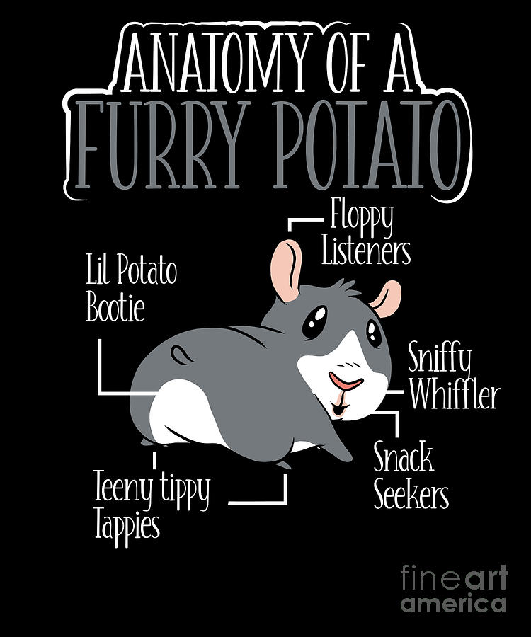 Pig Digital Art - Anatomy Of A Furry Potato Funny Guinea Pig Owner by RaphaelArtDesign