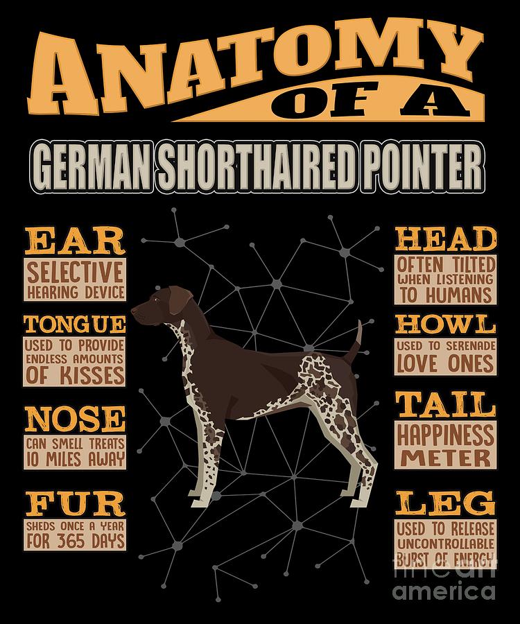 do pointer dogs howl