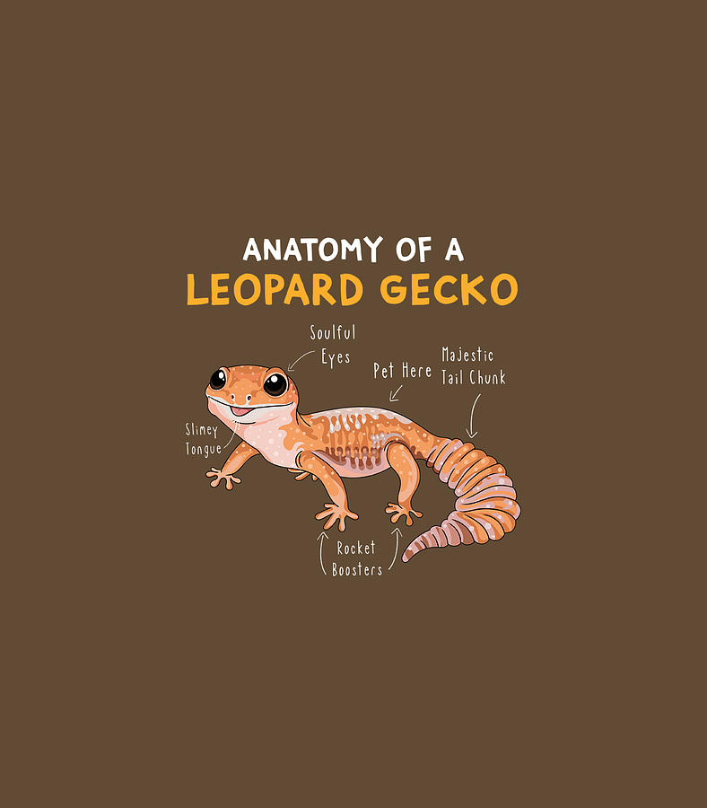 Anatomy Of A Leopard Gecko Funny Gecko Mom Reptile Dad Digital Art by ...