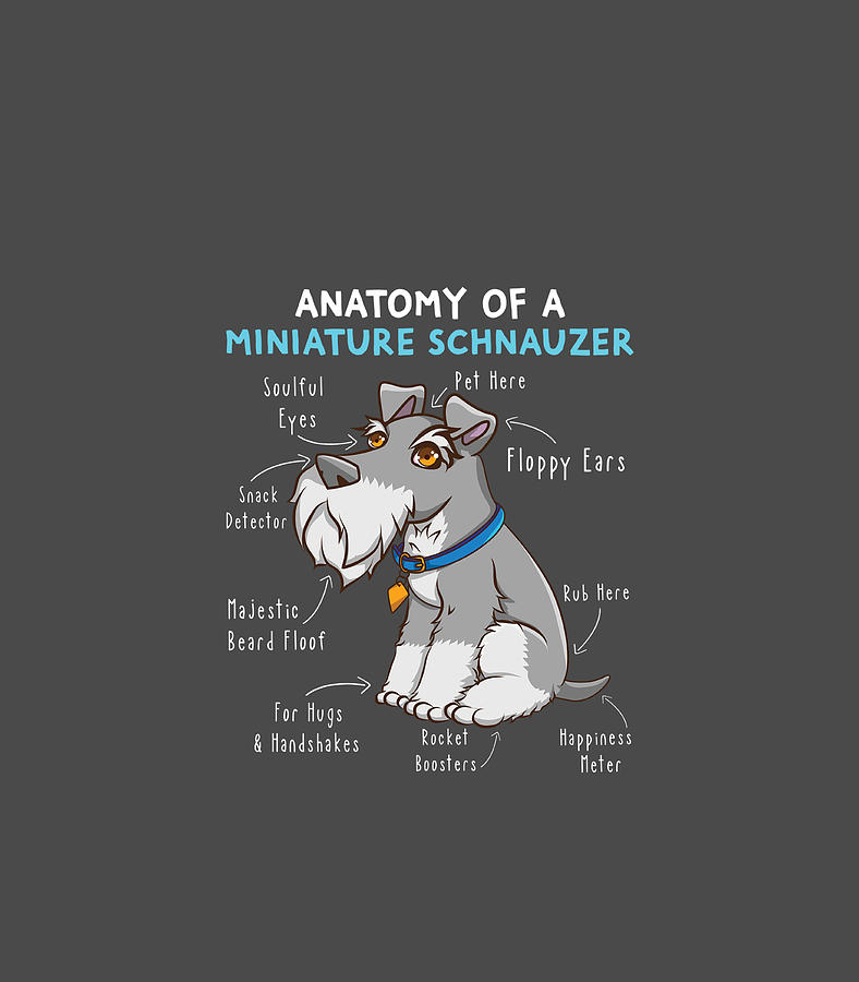 Anatomy Of A Miniature Schnauzer Cute Miniature Schnauzer Digital Art ...