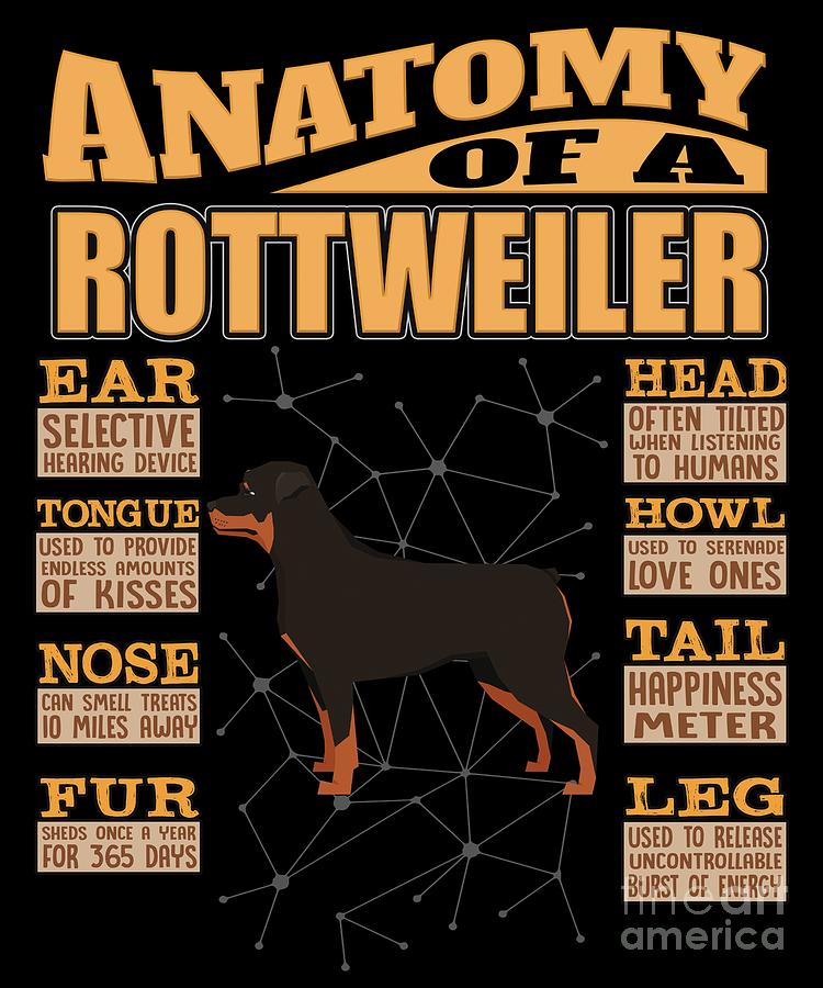 why does my rottweiler howl