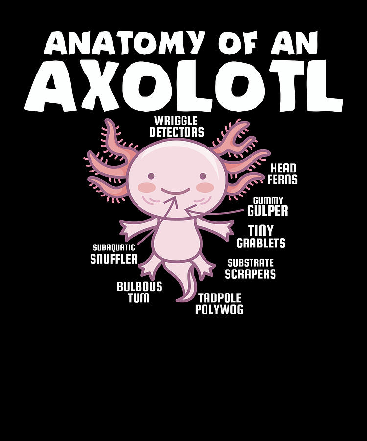 Anatomy of an Axolotl Coffee Mug