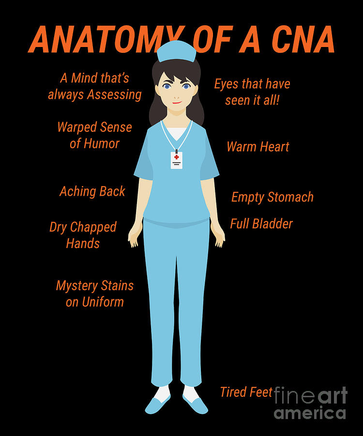 Anatomy Of CNA Nurse Doctor Medical Health Check Nursing Aide Physician  Medic Hospital Gift Digital Art by Thomas Larch - Fine Art America
