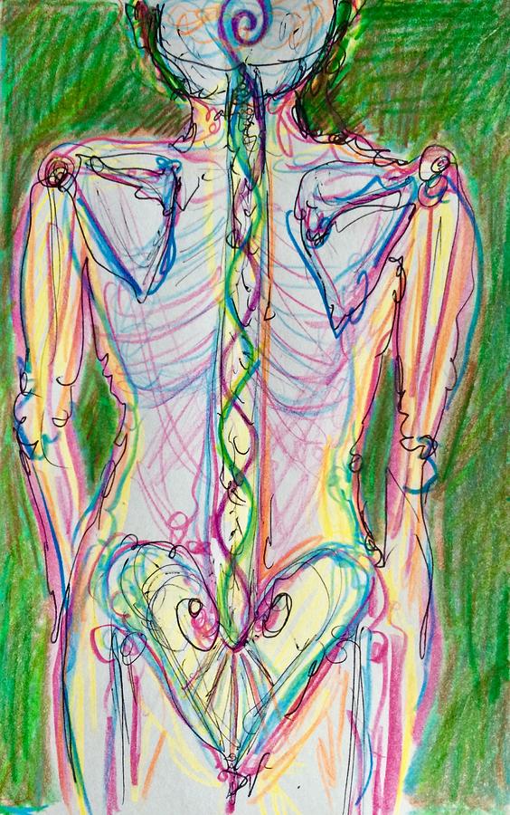 Anatomy of Healing 2 Drawing by Suzan Sommers