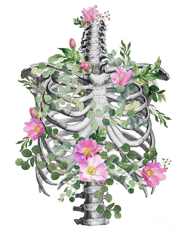 Anatomy Ribcage Rib Cageskeleton Pink Roses Painting By Mary Ian - Pixels