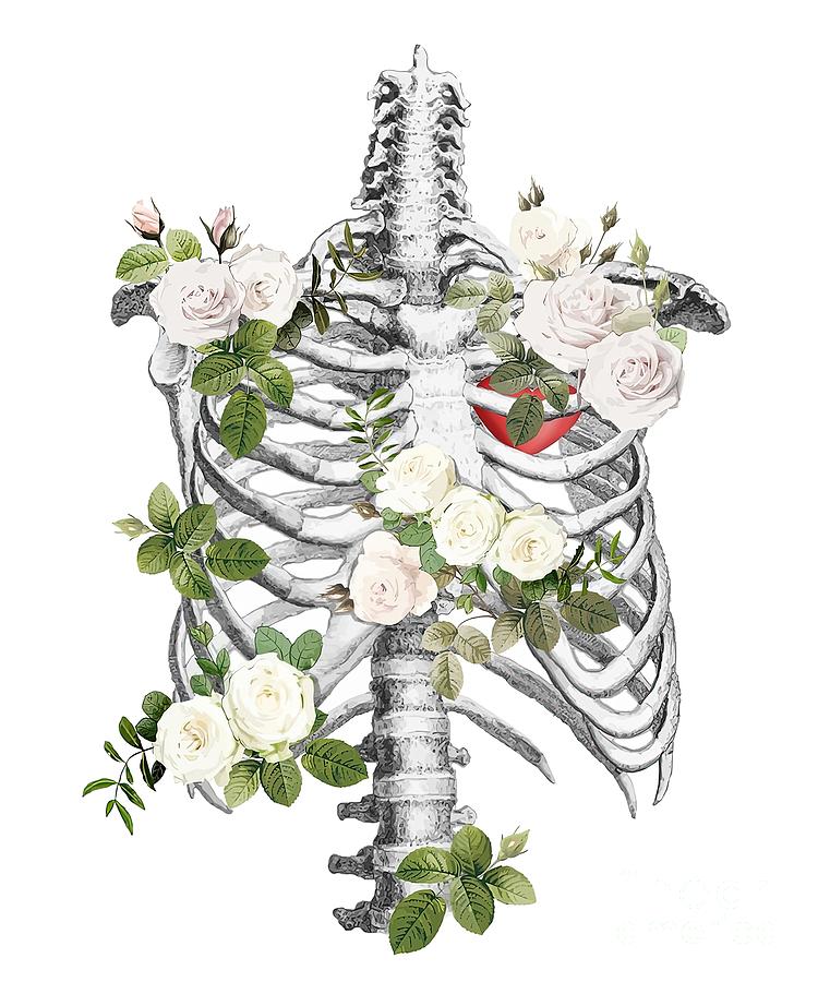 Anatomy ribcage rib cageskeleton white roses Painting by Ben Carrie ...