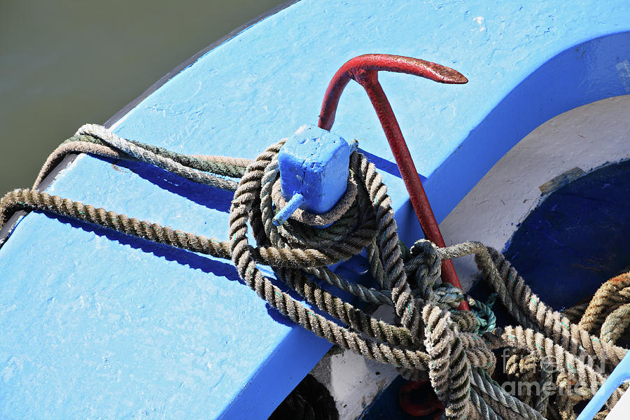 Anchor and mooring rope Photograph by Bryan Attewell
