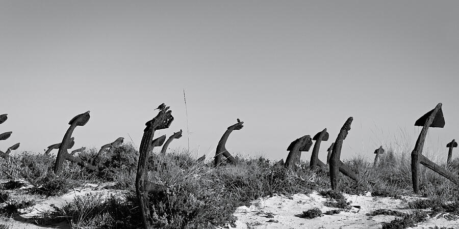 Anchor cemetery. Algarve Portugal Photograph by Angelo DeVal