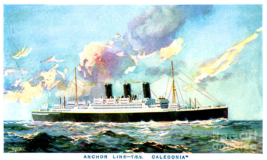 Anchor Line Tss Caledonia Postcard Painting