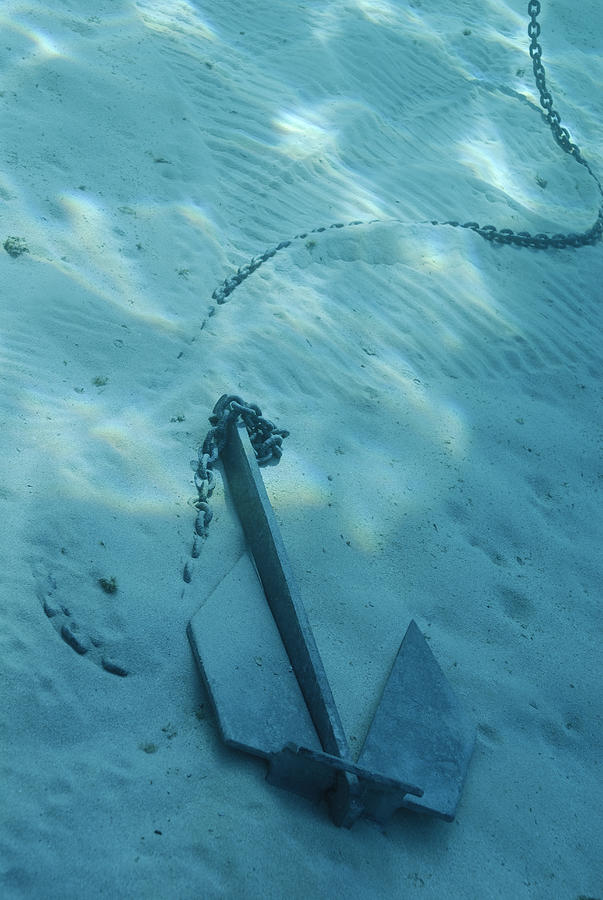 Anchor on seabed, underwater view Photograph by Sami Sarkis