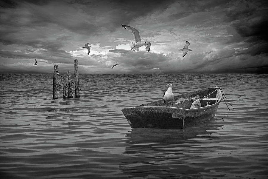 Anchored Boat Before The Storm with Gulls in Black and White Photograph by Randall Nyhof