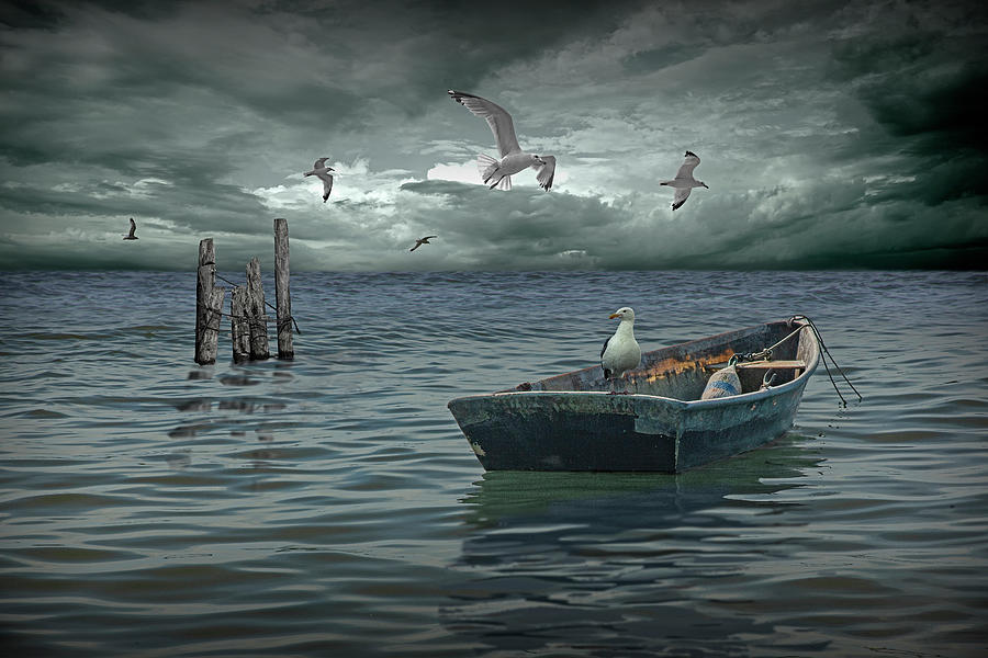 Anchored Boat Before The Storm with Gulls Photograph by Randall Nyhof