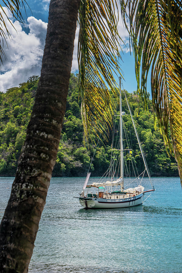 Anchored in Paradise Photograph by Gary Felton