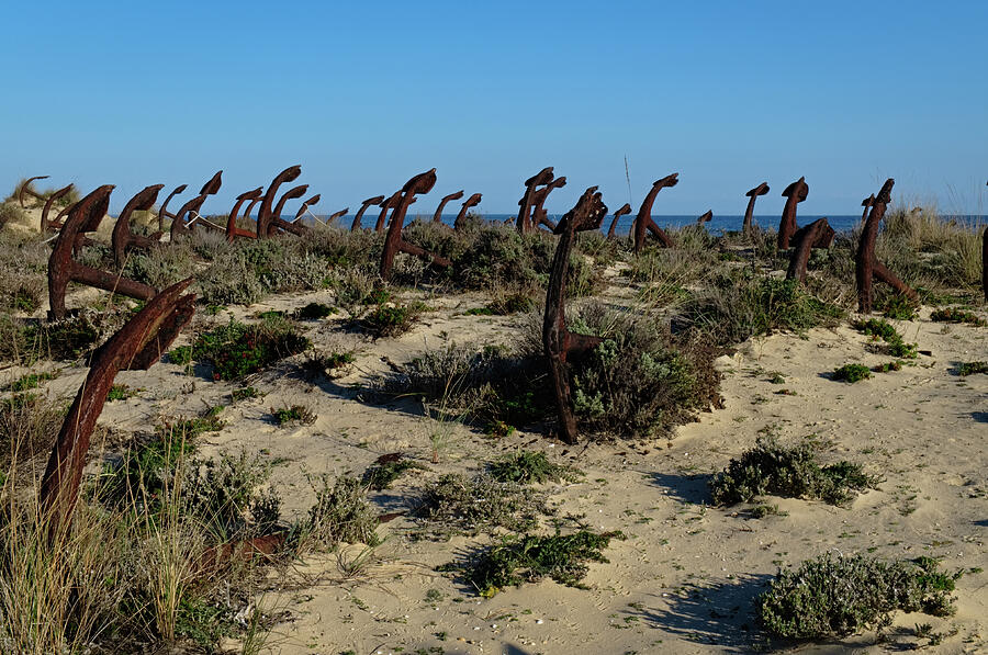 Anchors On The Beach Dunes. Algarve Photograph by Angelo DeVal