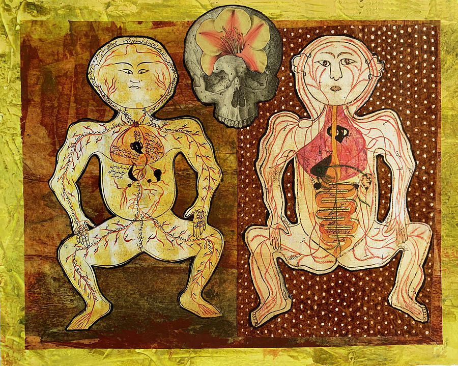 Ancient Arab Anatomy Drawings Collage Mixed Media by Lorena Cassady