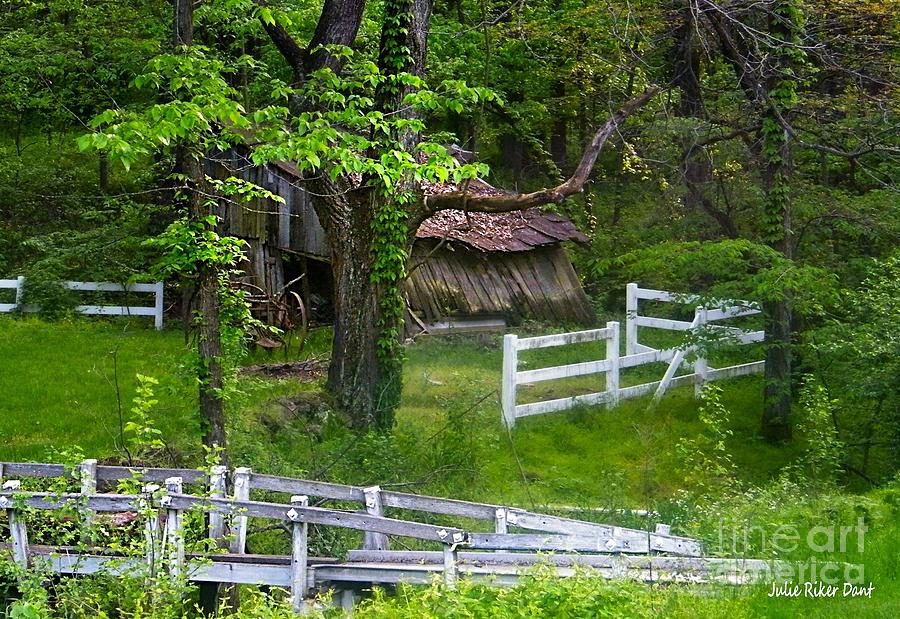 Ancient Barn in Old Corning Photograph by Julie Dant