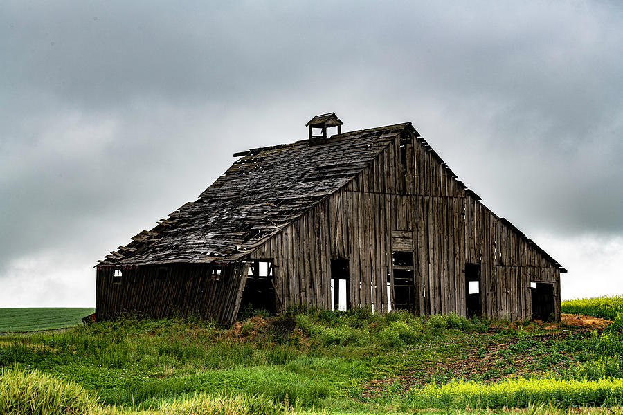 Ancient Barn Of The Palouse In Rain Photograph