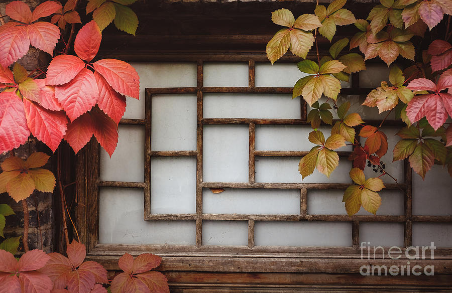Fall Photograph - Ancient Chinese window by Iryna Liveoak