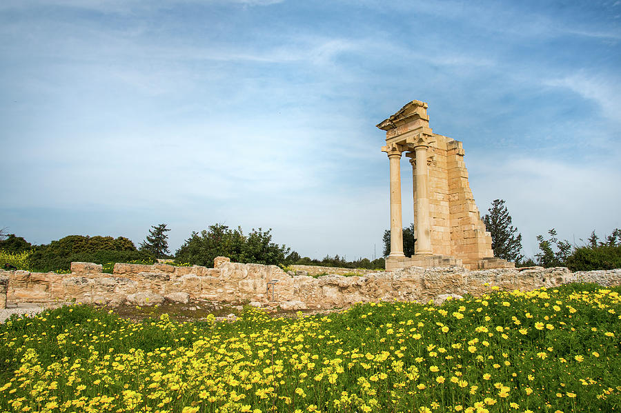 Ancient columns in spring against blue cloudy sky Photograph by Michalakis Ppalis