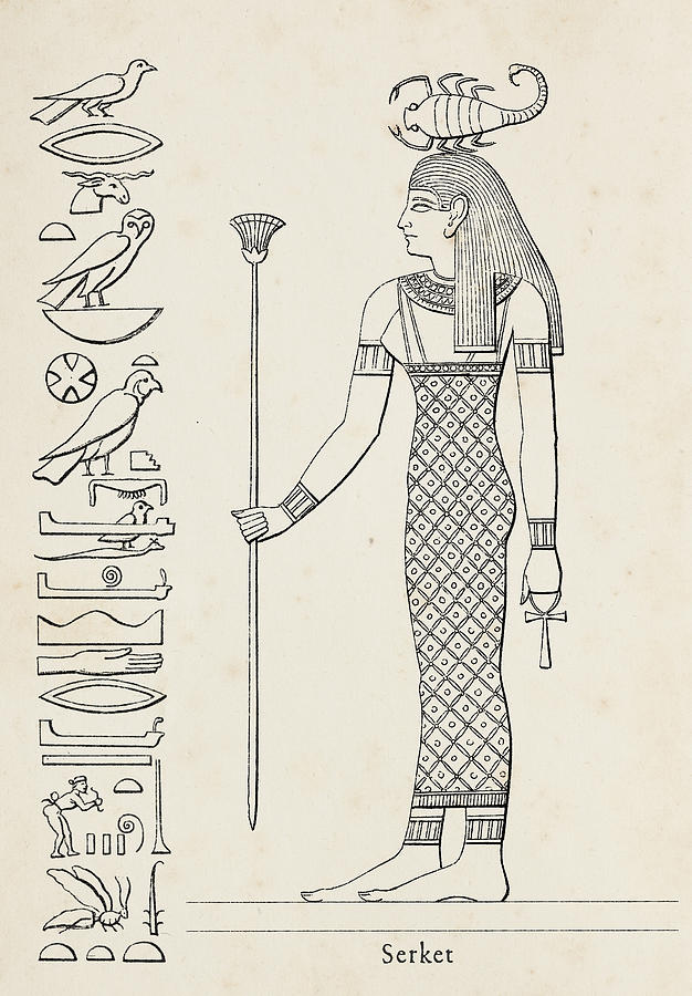 Ancient egyptian hieroglyph of Serket goddess of fertility Drawing by Grafissimo