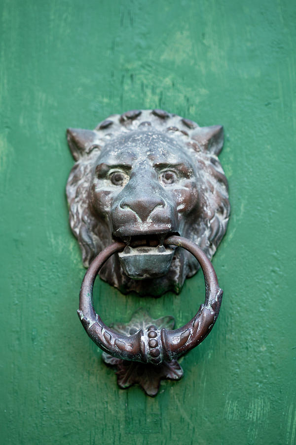 Ancient italian lion shaped door knocker Photograph by Liss Art Studio ...