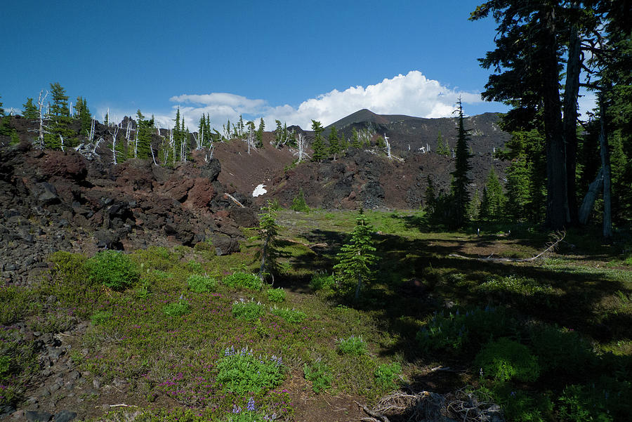 Ancient lava field at Sawyer Bar Oregon Photograph by David L Moore