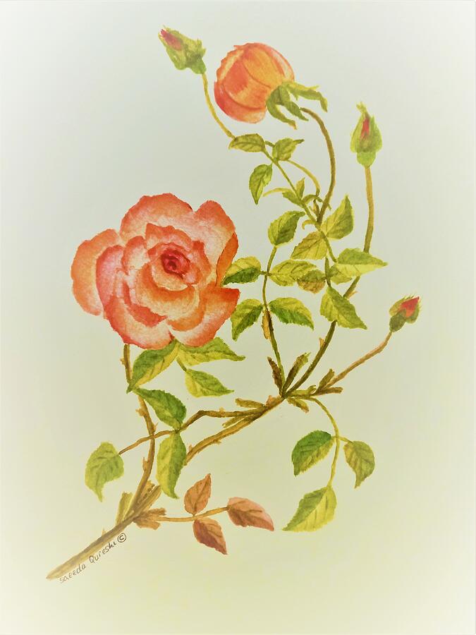 Ancient Rose Painting by Saeeda Qureshi C - Fine Art America