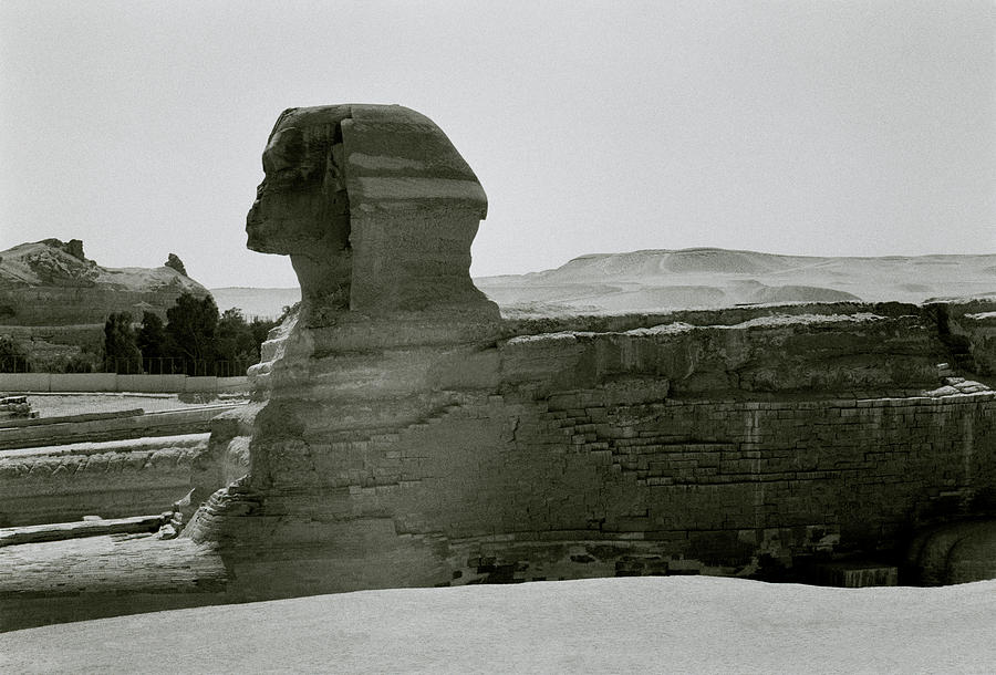 Ancient Sphinx Photograph by Shaun Higson