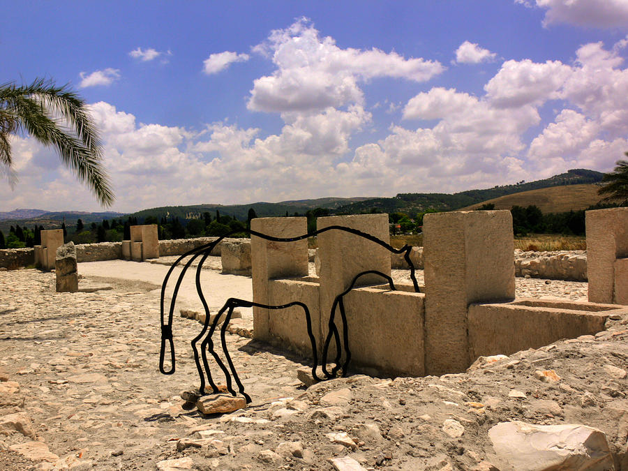 Ancient stables  Tel Megiddo National Park Photograph by Vadim Levinzon
