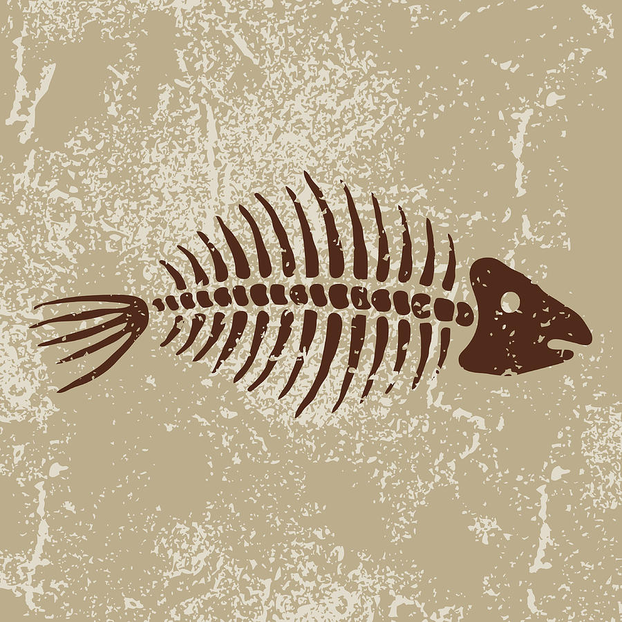 Ancient Symbols: Fish Bones Drawing by Bortonia