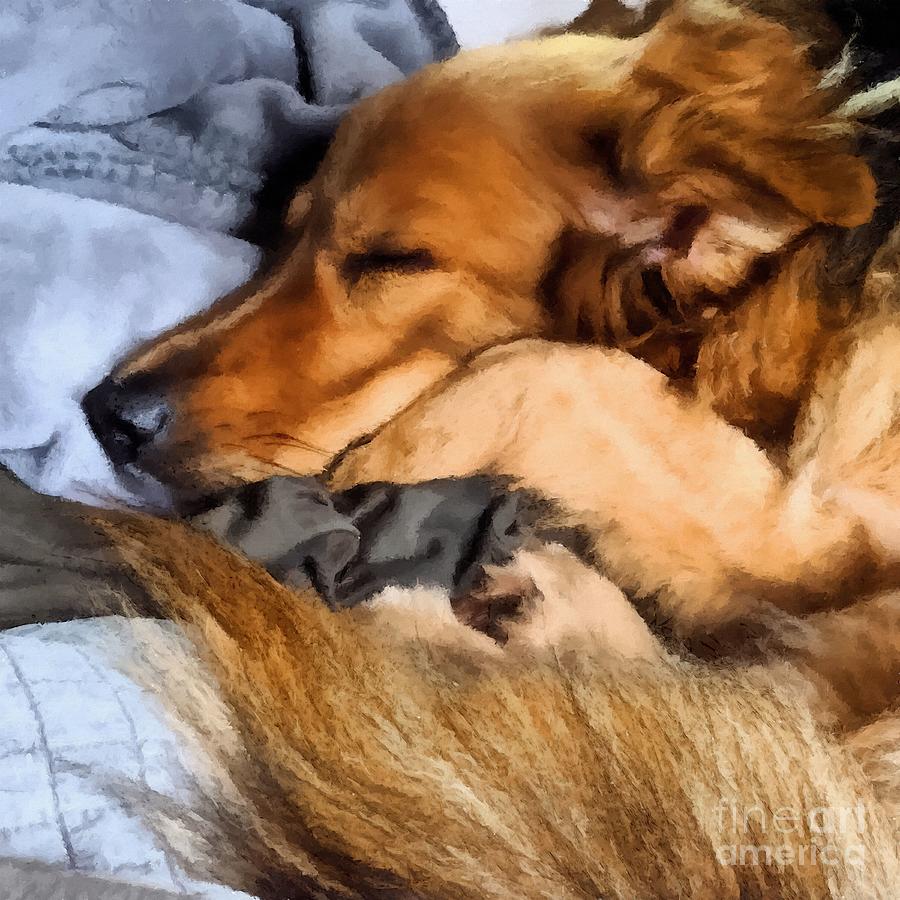 And So She Slept by Abbie Shores And So She Slept by Abbie Shores
