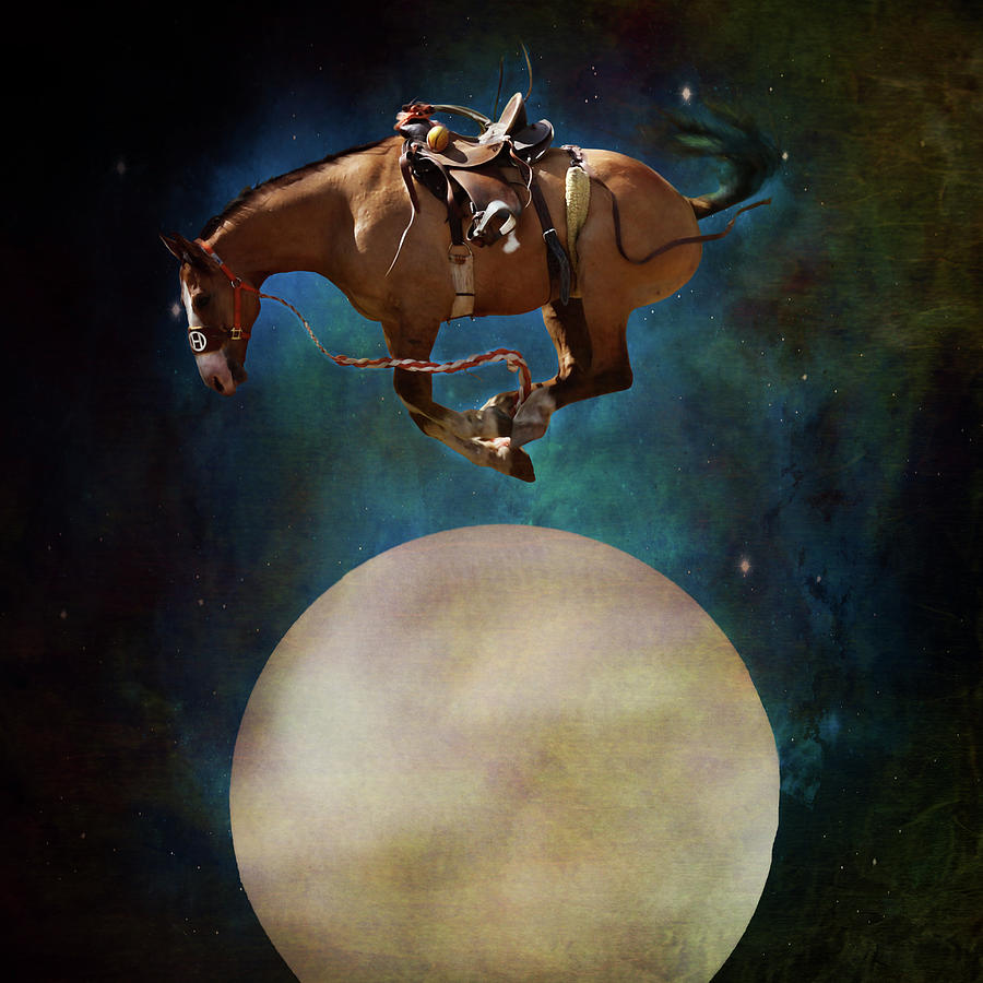 And The Horse Jumped Over The Moon Photograph