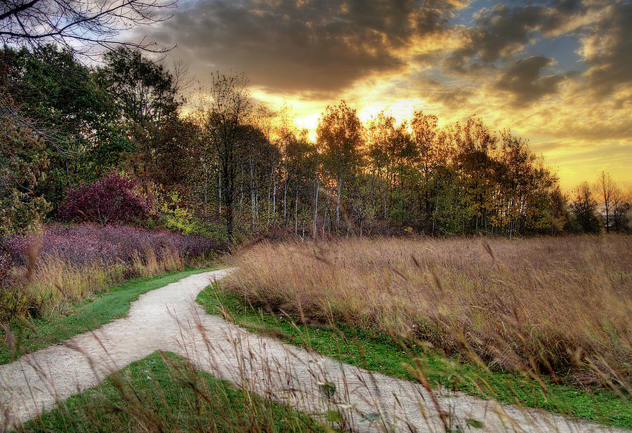  And the Two Shall Become One - two paths merge in WI autumn scene Photograph by Peter Herman