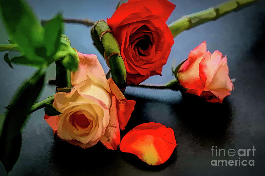 And There were Three Photograph by Diana Mary Sharpton