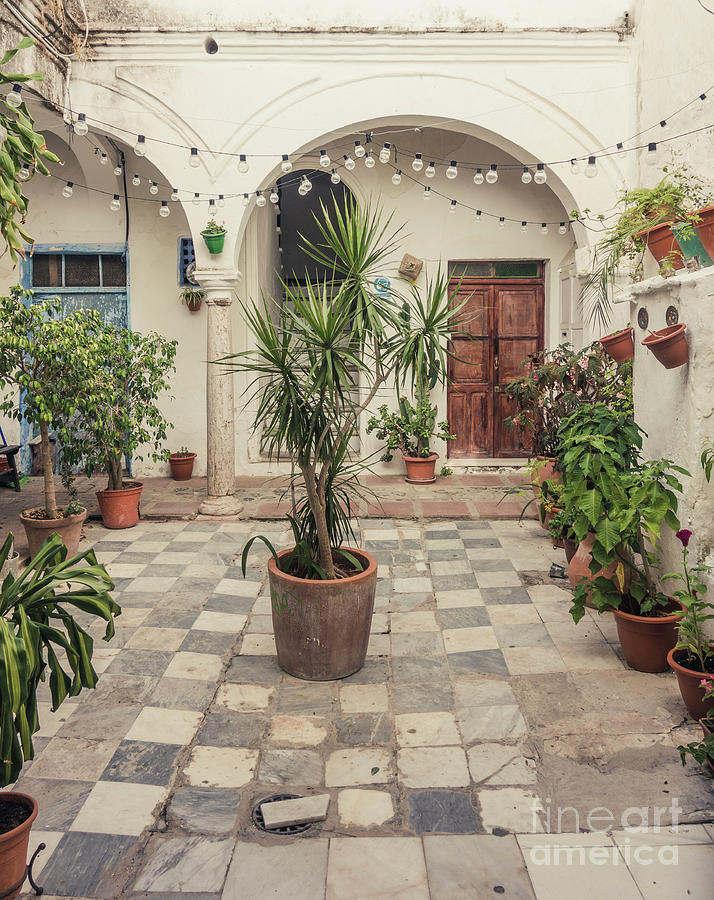 Andalusian courtyard patio Photograph by Perry Van Munster