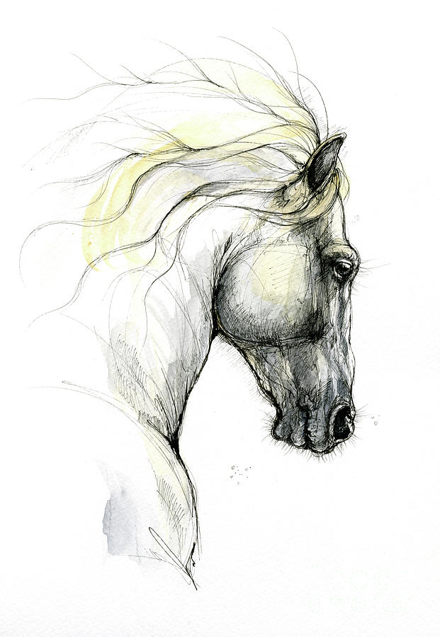 Andalusian horse 2019 09 04 Painting by Ang El