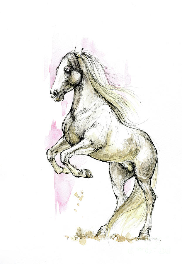 Andalusian stallion 2019 Drawing by Ang El