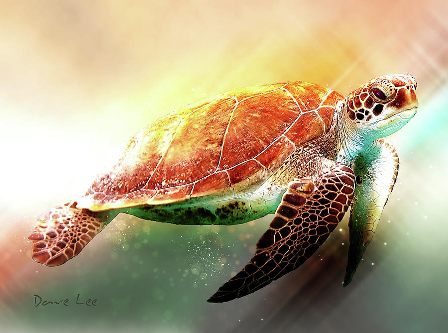 Andaman Sea Turtle Digital Art by Dave Lee