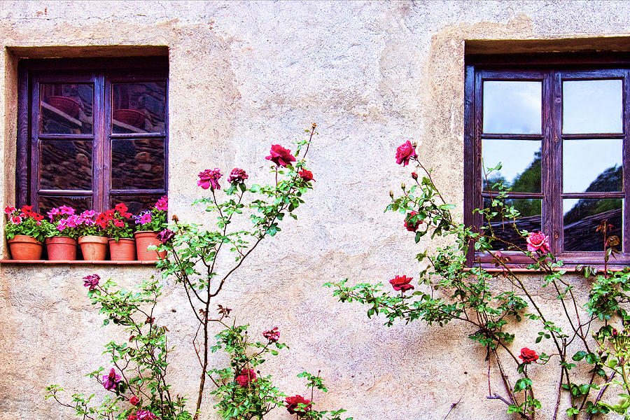 Andorra windows and roses Photograph by Tatiana Travelways