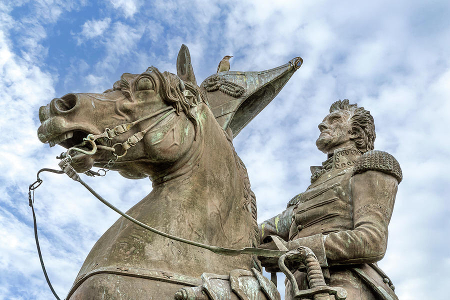 Andrew Jackson Photograph - Andrew Jackson Equestrian Statue  by Debra Martz
