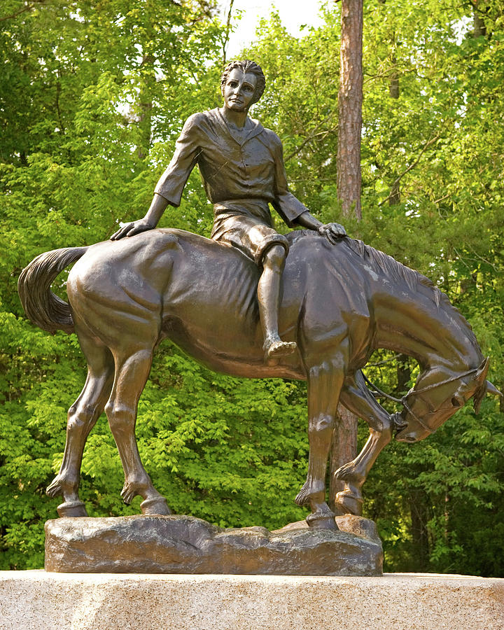 Andrew Jackson Statue SC Photograph by Bob Pardue