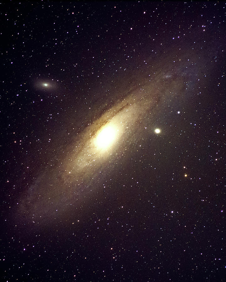 Andromeda Photograph by Darrell DeRosia
